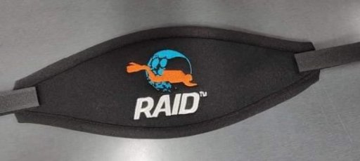 Merchandise